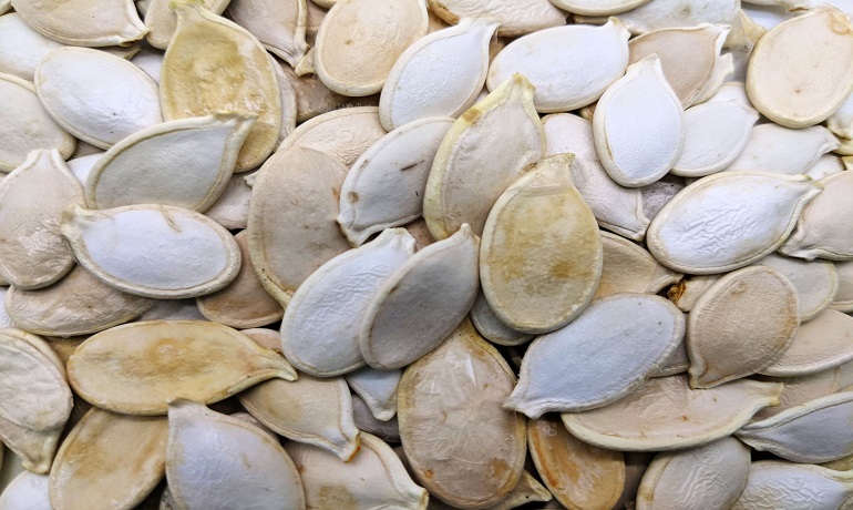 Pumpkin Seeds