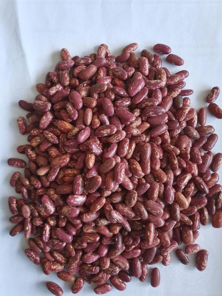 Red Speckled Kidney Beans