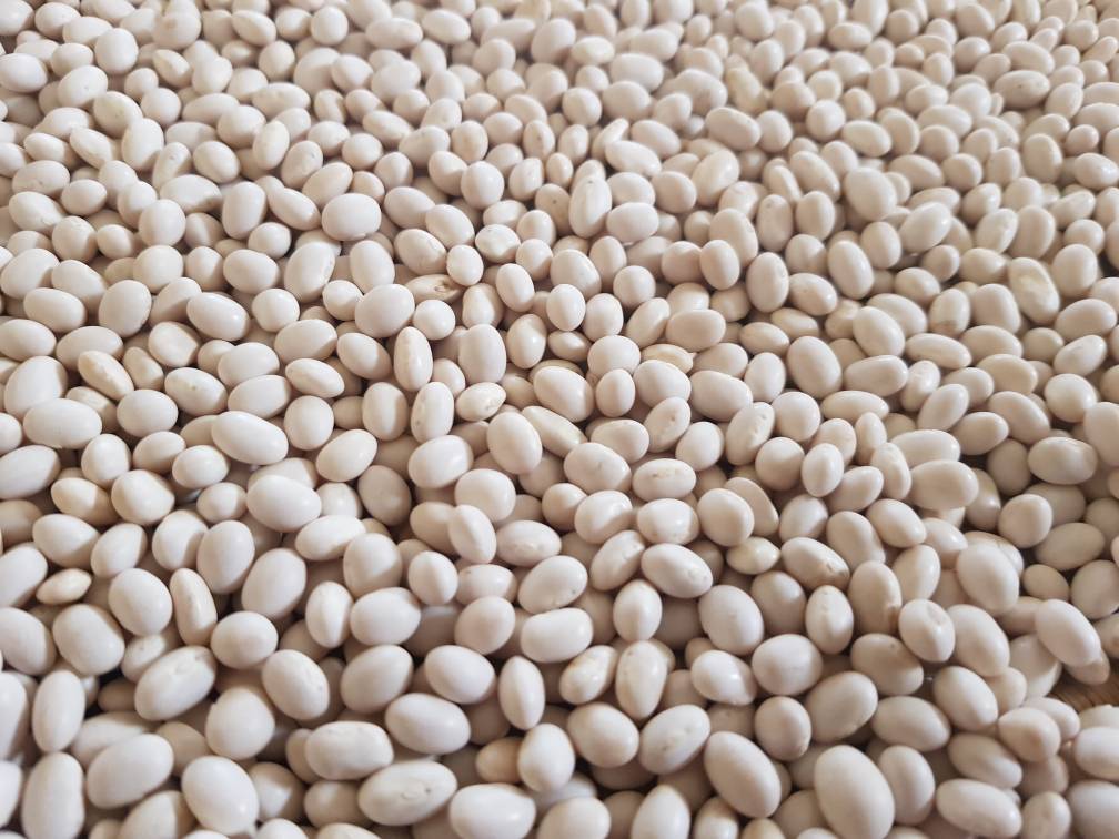 White Pea Beans