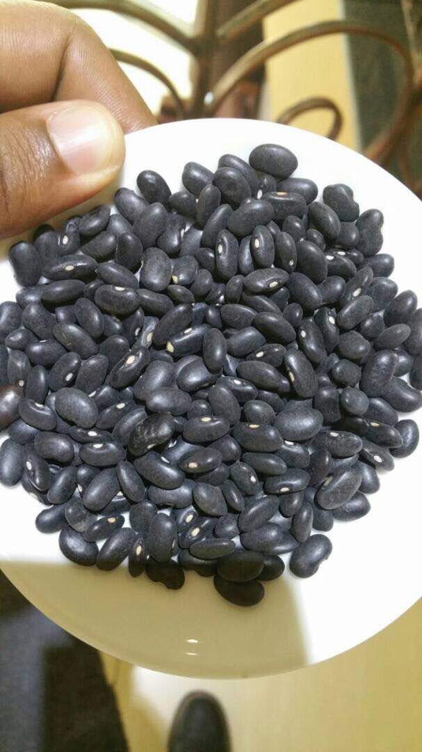 Selected Ethiopian Beans