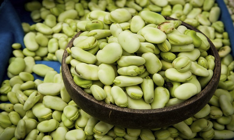 Horse Beans